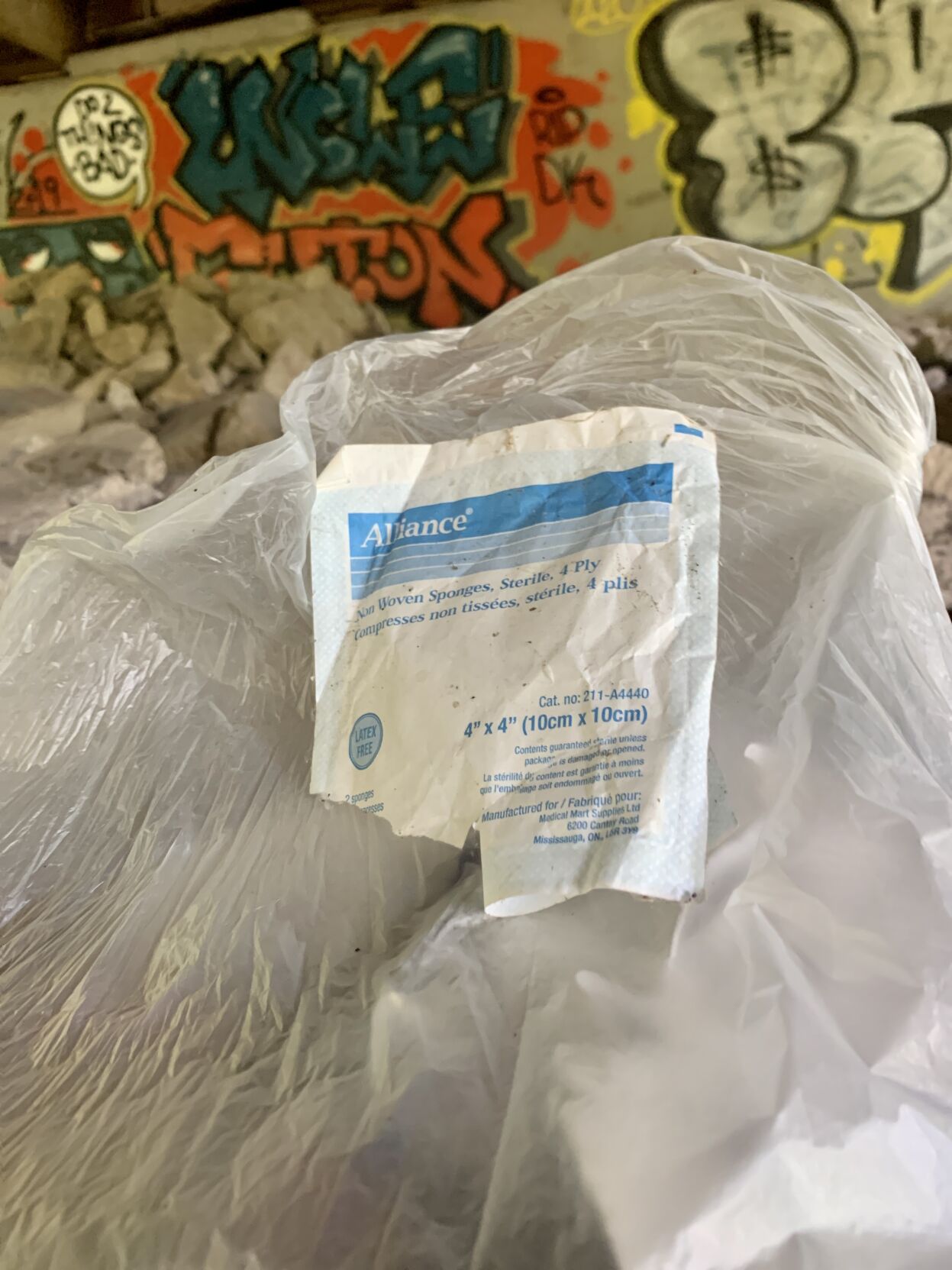 River cleanup under the bridge